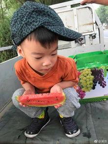 吃瓜娱乐萌,揭秘娱乐圈那些萌趣瞬间