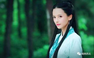 昔我晚矣我在娱乐圈吃瓜,昔我晚矣，吃瓜之旅