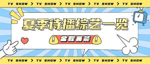 娱乐吃瓜营销号是什么,揭秘娱乐圈背后的秘密与炒作