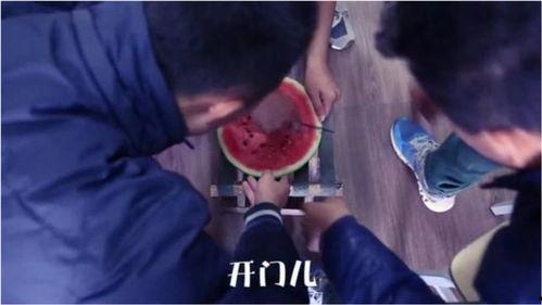 吃瓜娱乐奇葩视频,笑料百出！盘点那些让人捧腹大笑的吃瓜娱乐奇葩视频