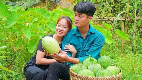 吃娱乐圈连串的瓜,揭秘明星背后的故事