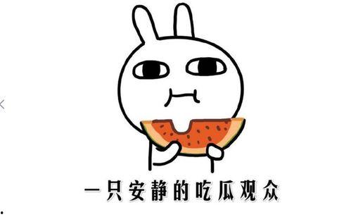 吃瓜娱乐简介句子,吃瓜群众眼中的明星幕后故事