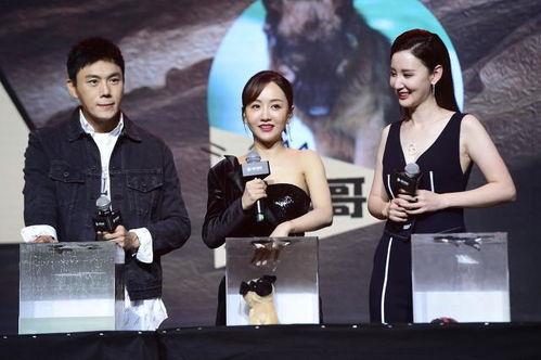 娱乐圈吃瓜爆料博主解说,揭秘明星背后的秘密与真相